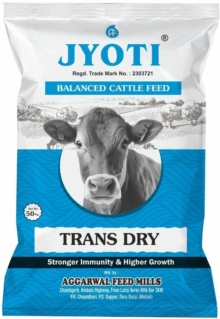 Trans Dry